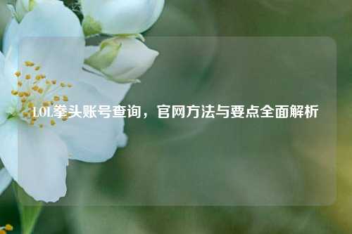 LOL拳头账号查询，官网方法与要点全面解析