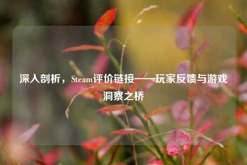 深入剖析,Steam评价链接——玩家反馈与游戏洞察之桥