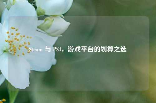 Steam 与 PS4，游戏平台的划算之选