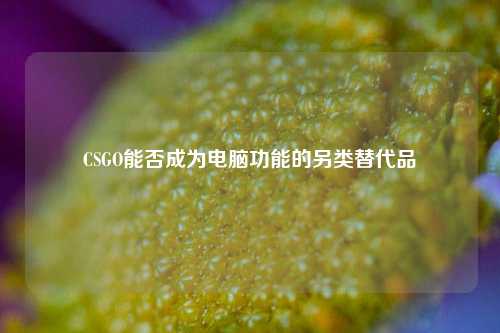 CSGO能否成为电脑功能的另类替代品