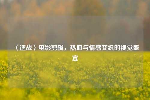 〈逆战〉电影剪辑,热血与情感交织的视觉盛宴
