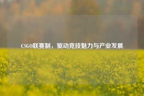 CSGO联赛制，驱动竞技魅力与产业发展