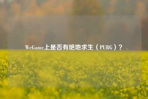WeGame上是否有绝地求生(PUBG)?