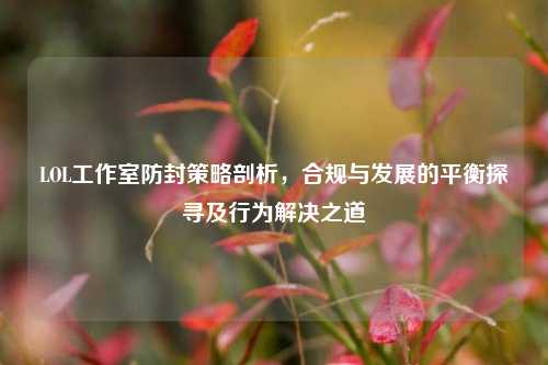 LOL工作室防封策略剖析,合规与发展的平衡探寻及行为解决之道