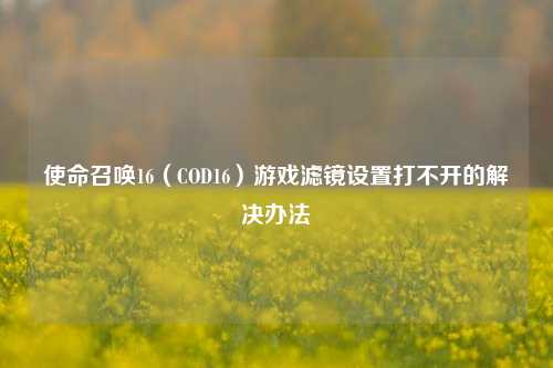 使命召唤16(COD16)游戏滤镜设置打不开的解决办法
