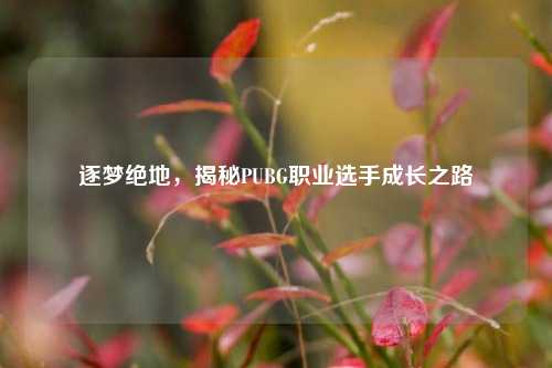 逐梦绝地，揭秘PUBG职业选手成长之路