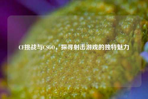 CF挑战与CSGO,探寻射击游戏的独特魅力