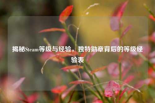 揭秘Steam等级与经验,独特勋章背后的等级经验表