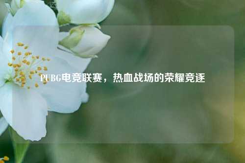 PUBG电竞联赛，热血战场的荣耀竞逐