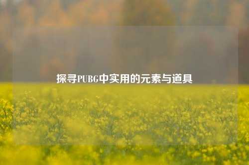 探寻PUBG中实用的元素与道具