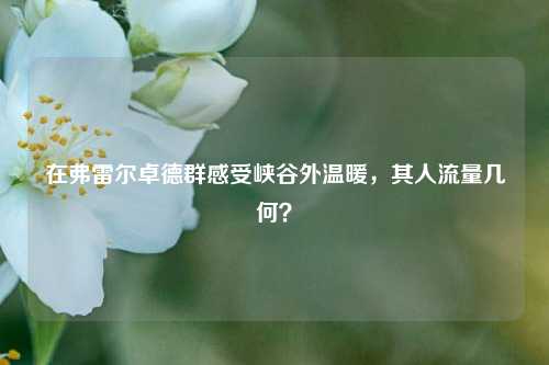 在弗雷尔卓德群感受峡谷外温暖，其人流量几何？