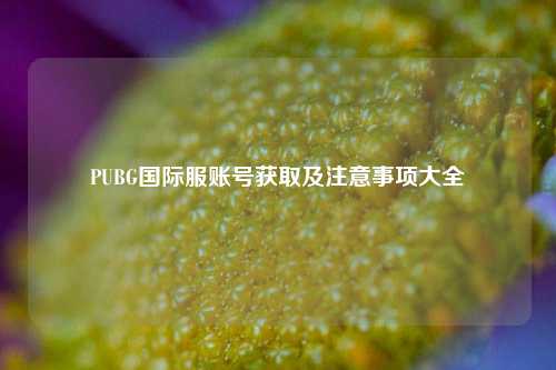 PUBG国际服账号获取及注意事项大全