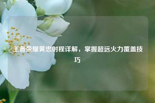 王者荣耀黄忠射程详解，掌握超远火力覆盖技巧