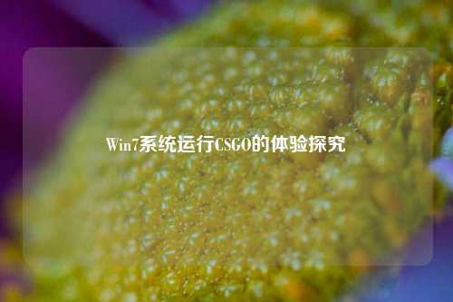 Win7系统运行CSGO的体验探究
