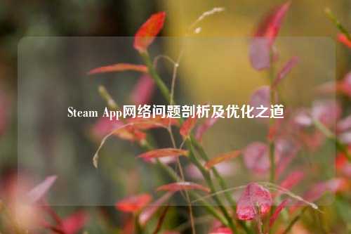 Steam App网络问题剖析及优化之道