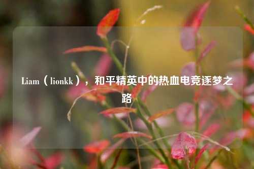 Liam(lionkk),和平精英中的热血电竞逐梦之路