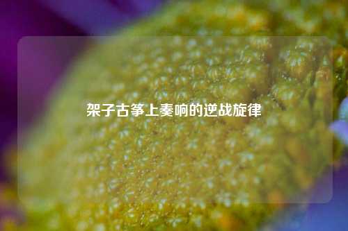 架子古筝上奏响的逆战旋律