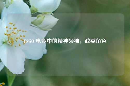 CSGO 电竞中的精神领袖，政委角色