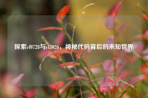 探索cf0728与cf3026,神秘代码背后的未知世界