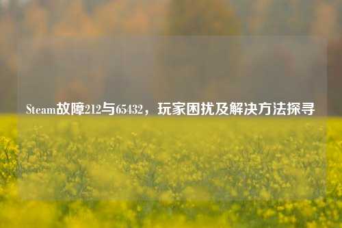 Steam故障212与65432，玩家困扰及解决方法探寻