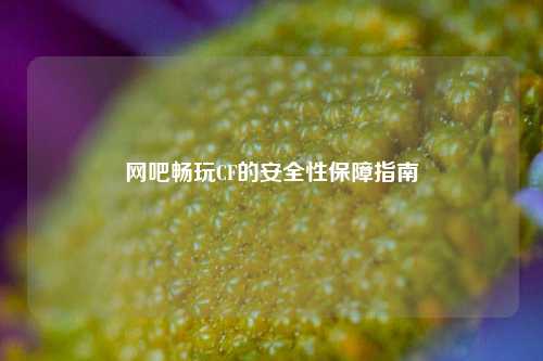 网吧畅玩CF的安全性保障指南