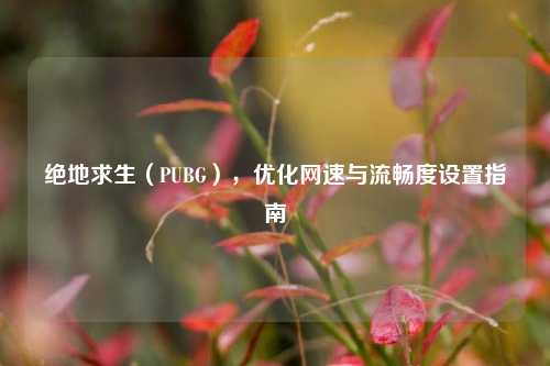 绝地求生(PUBG),优化网速与流畅度设置指南