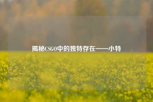 揭秘CSGO中的独特存在——小特