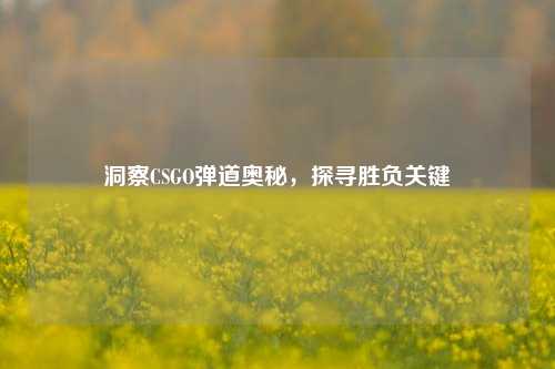 洞察CSGO弹道奥秘，探寻胜负关键