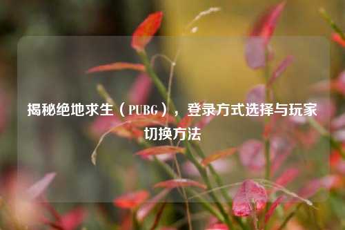 揭秘绝地求生(PUBG),登录方式选择与玩家切换方法