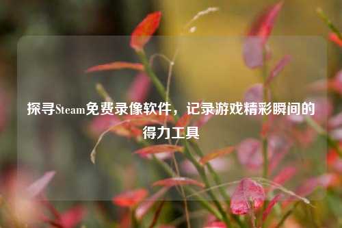 探寻Steam免费录像软件,记录游戏精彩瞬间的得力工具