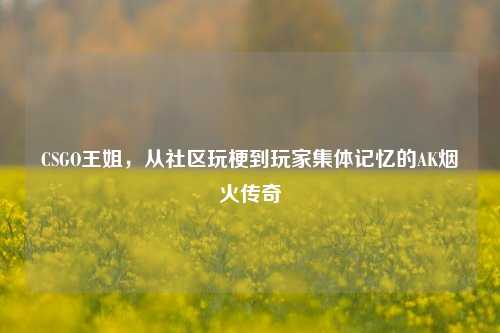 CSGO王姐，从社区玩梗到玩家集体记忆的AK烟火传奇