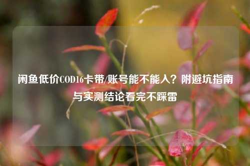 闲鱼低价COD16卡带/账号能不能入？附避坑指南与实测结论看完不踩雷