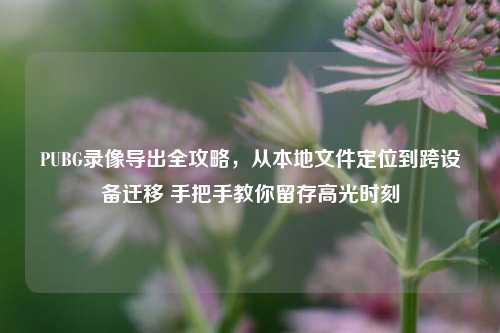 PUBG录像导出全攻略,从本地文件定位到跨设备迁移 手把手教你留存高光时刻