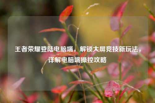 王者荣耀登陆电脑端,解锁大屏竞技新玩法,详解电脑端操控攻略