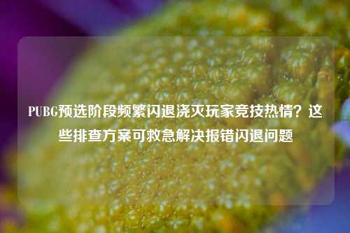 PUBG预选阶段频繁闪退浇灭玩家竞技热情？这些排查方案可救急解决报错闪退问题