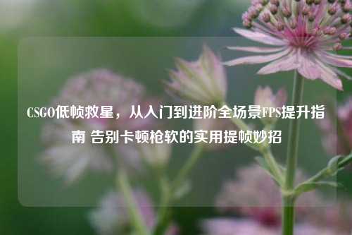 CSGO低帧救星，从入门到进阶全场景FPS提升指南 告别卡顿枪软的实用提帧妙招