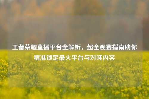 王者荣耀直播平台全解析，超全观赛指南助你精准锁定最火平台与对味内容
