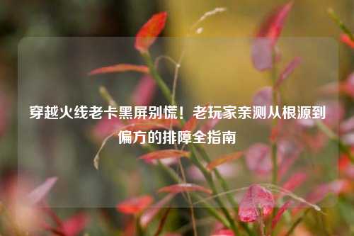 穿越火线老卡黑屏别慌！老玩家亲测从根源到偏方的排障全指南