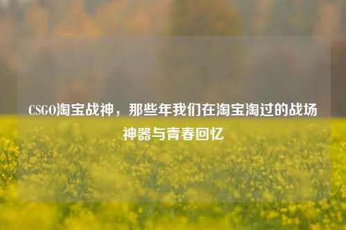 CSGO淘宝战神，那些年我们在淘宝淘过的战场神器与青春回忆