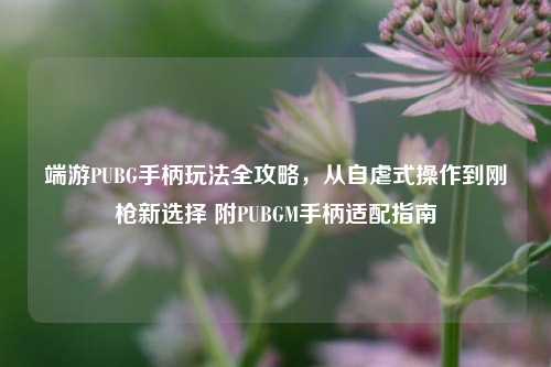 端游PUBG手柄玩法全攻略,从自虐式操作到刚枪新选择 附PUBGM手柄适配指南