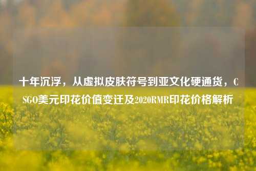 十年沉浮，从虚拟皮肤符号到亚文化硬通货，CSGO美元印花价值变迁及2020RMR印花价格解析