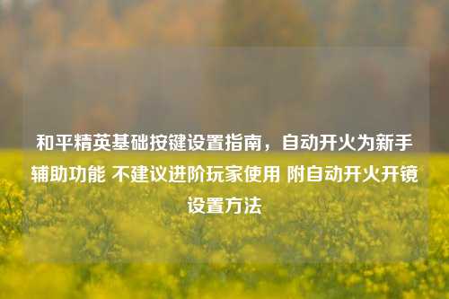和平精英基础按键设置指南，自动开火为新手辅助功能 不建议进阶玩家使用 附自动开火开镜设置方法