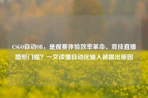 CSGO自动OB，是观赛体验效率革命、竞技直播隐形门槛？一文读懂自动化输入被踢出原因