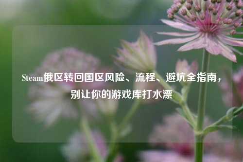 Steam俄区转回国区风险、流程、避坑全指南，别让你的游戏库打水漂