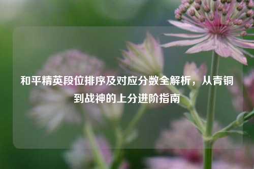 和平精英段位排序及对应分数全解析,从青铜到战神的上分进阶指南