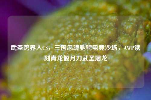 武圣跨界入CS，三国忠魂驰骋电竞沙场，AWP镌刻青龙偃月刀武圣屠龙