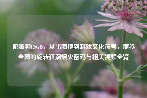 陀螺狗CSGO，从出圈梗到游戏文化符号，席卷全网的旋转狂潮爆火密码与相关视频全览