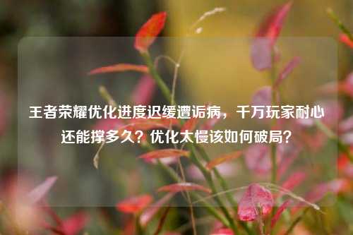 王者荣耀优化进度迟缓遭诟病，千万玩家耐心还能撑多久？优化太慢该如何破局？