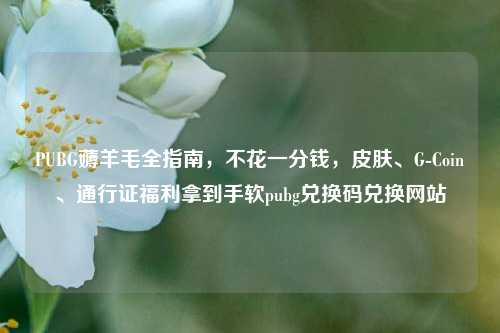 PUBG薅羊毛全指南，不花一分钱，皮肤、G-Coin、通行证福利拿到手软pubg兑换码兑换网站