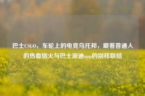 巴士CSGO，车轮上的电竞乌托邦，藏着普通人的热血烟火与巴士派迪app的别样联结